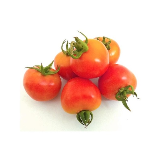[101] Tomate de Colgar