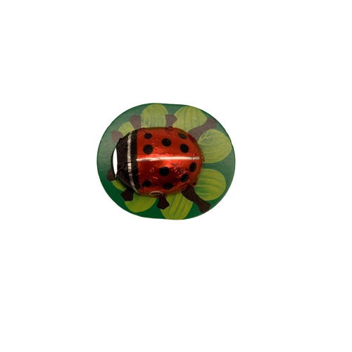 [4072] Mariquita de Chocolate Bio