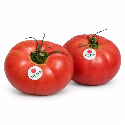 [98] Tomate Tip Top
