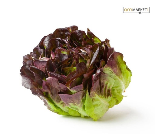 [88] Hoja de Roble