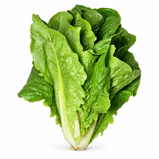 [86] Lechuga Huerto