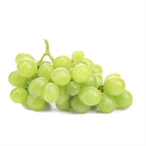 [67] Uva blanca