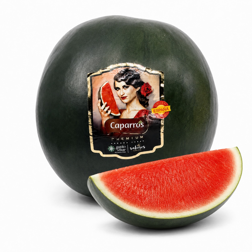[64] Sandia Extra
