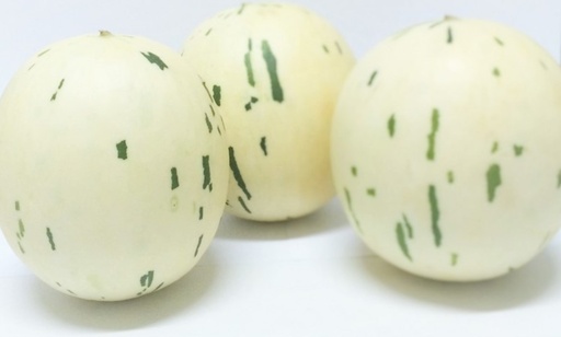 [58] Melón Sugar Baby