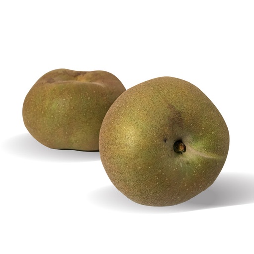 [48] Manzana Reineta