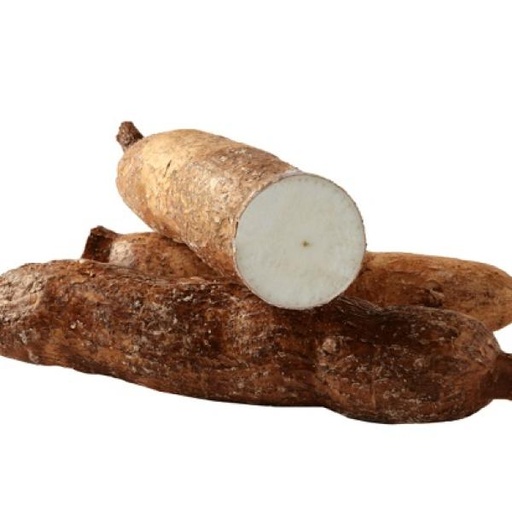 [27] Yuca