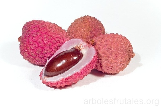 [20] Litchis