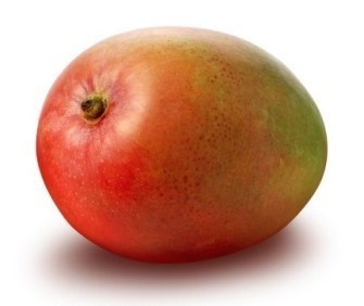 [19] Mango extra avión