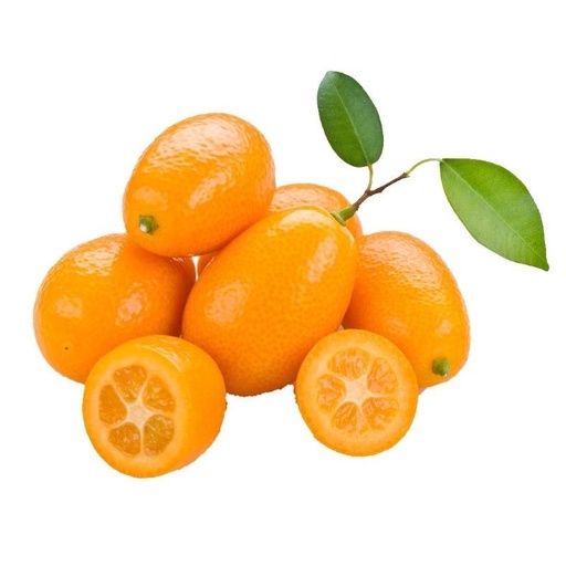 [18] Kumquat Bio