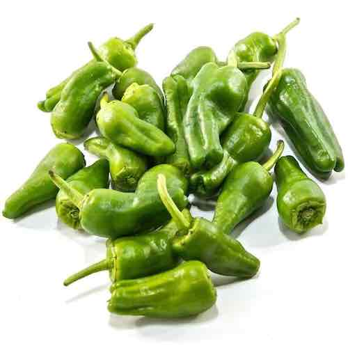 [4023] Pimiento de Padrón