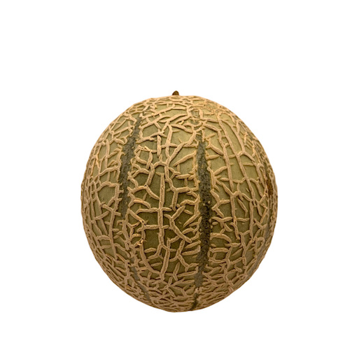 [3957] Melón Cantaloup Bio