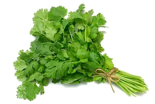 [3950] Cilantro Fresco en Manojo