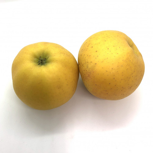 [3889] Manzana Chantecler