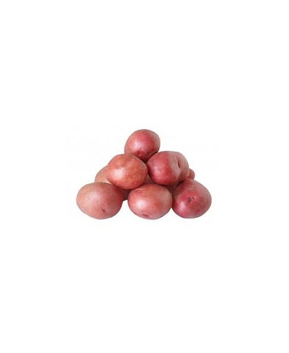 [3862] Patata Roja Bio