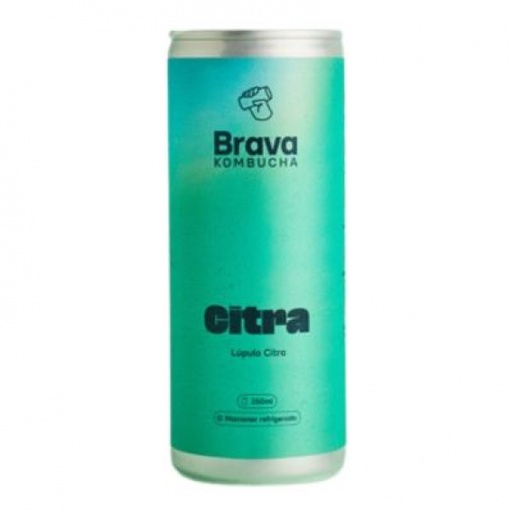 [3749] Kombucha Lúpulo Citra Bio