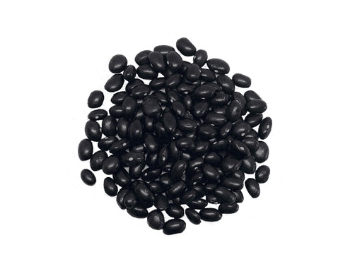 [3677] Alubia Tolosana Negra (Tolosa)